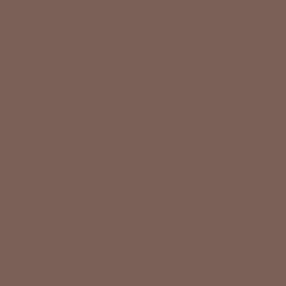 Evagarden Velvet Matte Eye Shadow 120 Tannin Brown, colour swatch