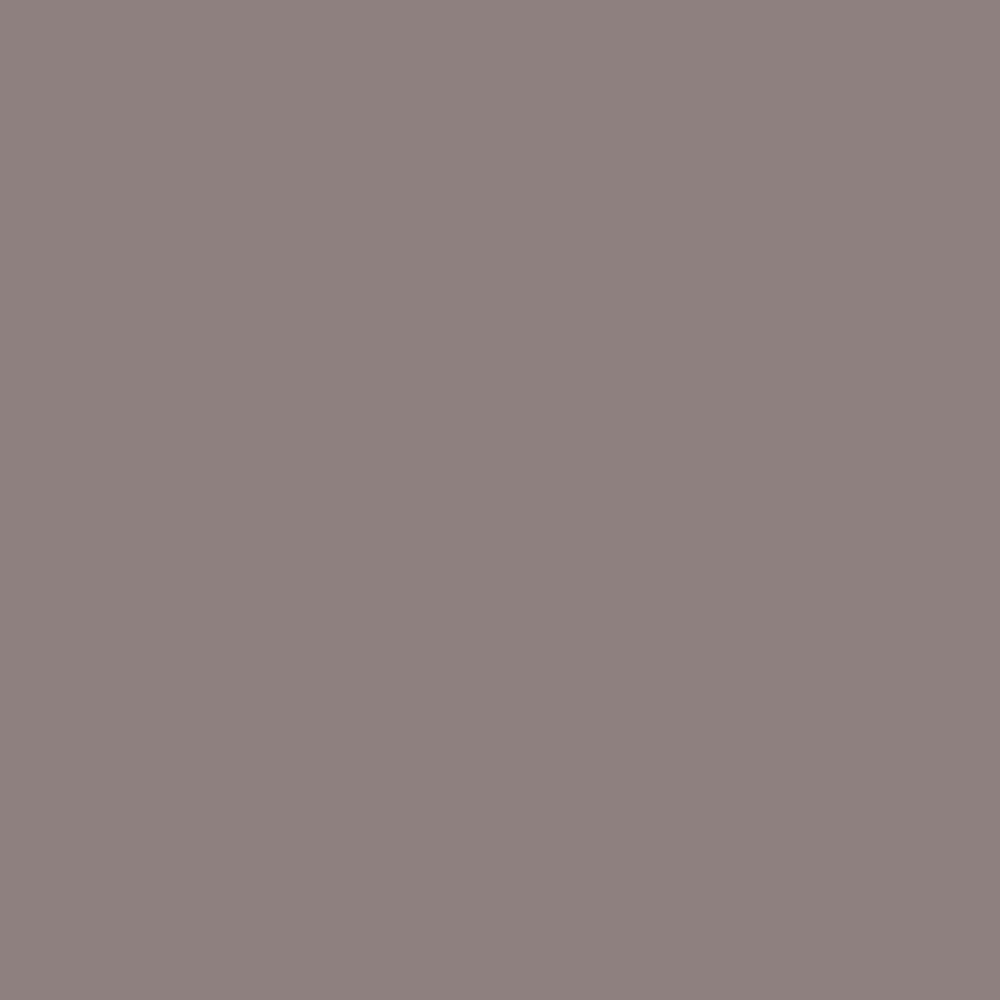 Evagarden Velvet Matte Eye Shadow 124 Iron, colour swatch