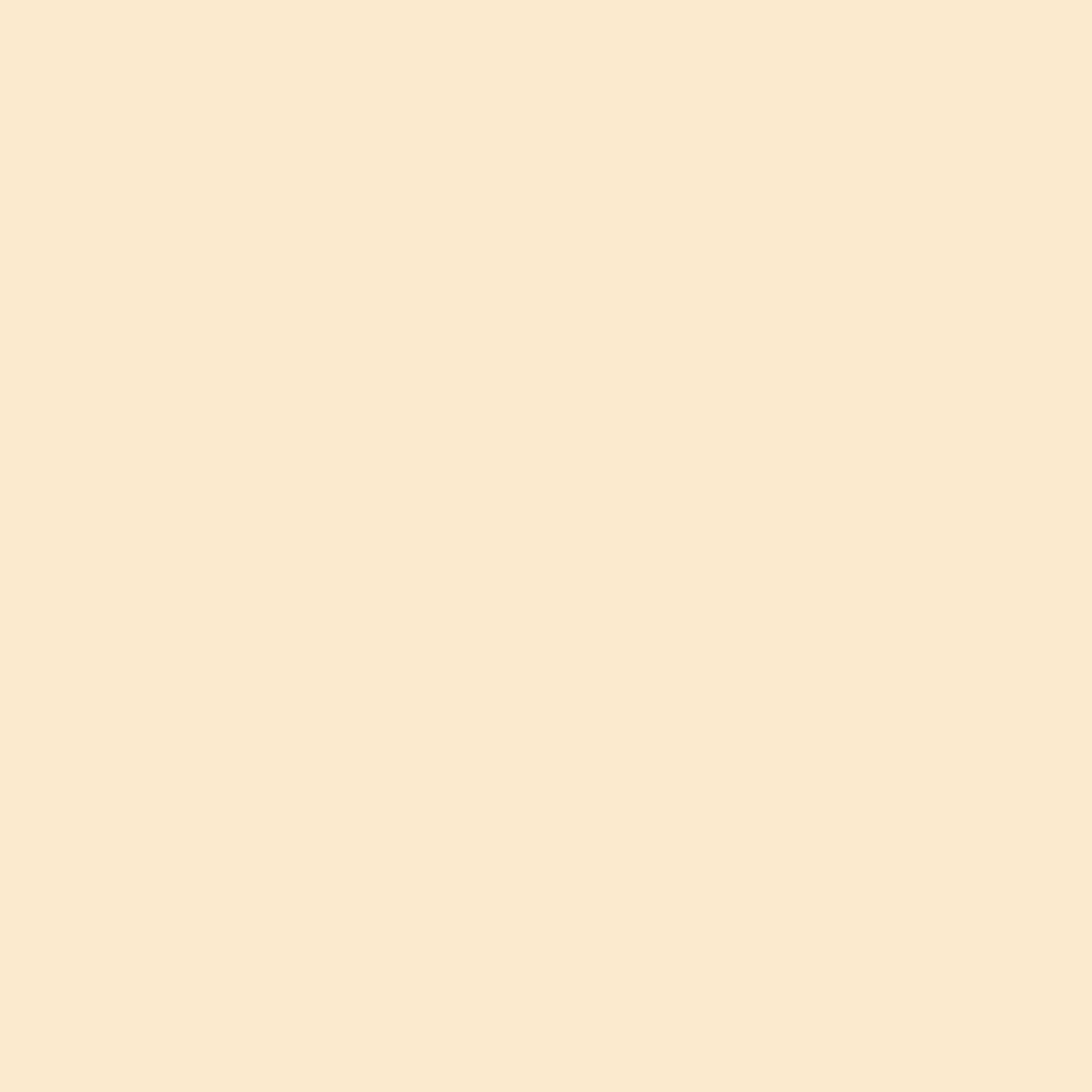 Evagarden Velvet Matte Eye Shadow 131 Ivory, colour swatch