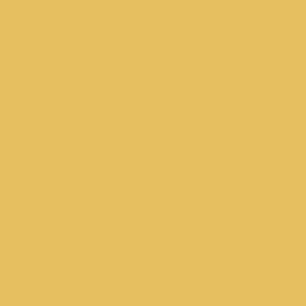 Evagarden Celestial Eye Shadow 246 Champagne, colour swatch