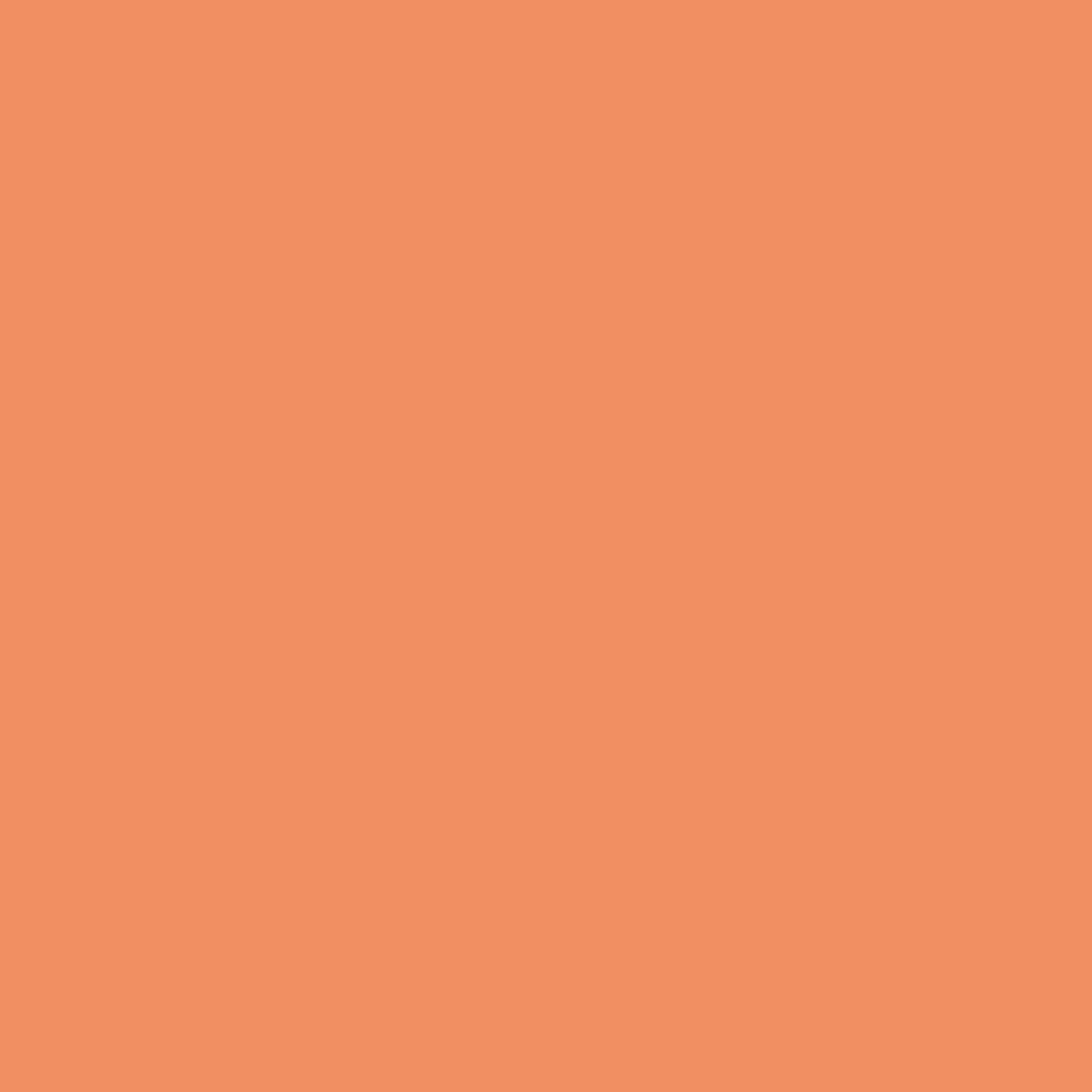 Evagarden Light Up Concealer 346 Apricot, colour swatch