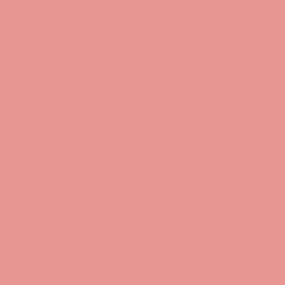 Evagarden Enjoy Lipstick 625 Coral Almond, colour swatch
