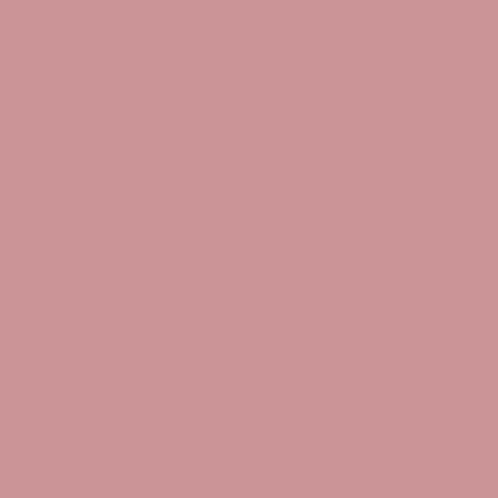 Evagarden Pure Matte Lipstick 651 Desert Sand, colour swatch