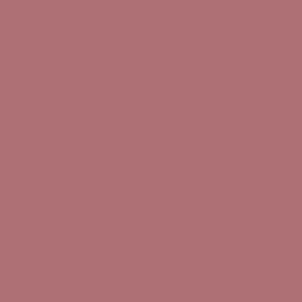 Evagarden Superlast Lip Pencil 787 Brick Dust, colour swatch