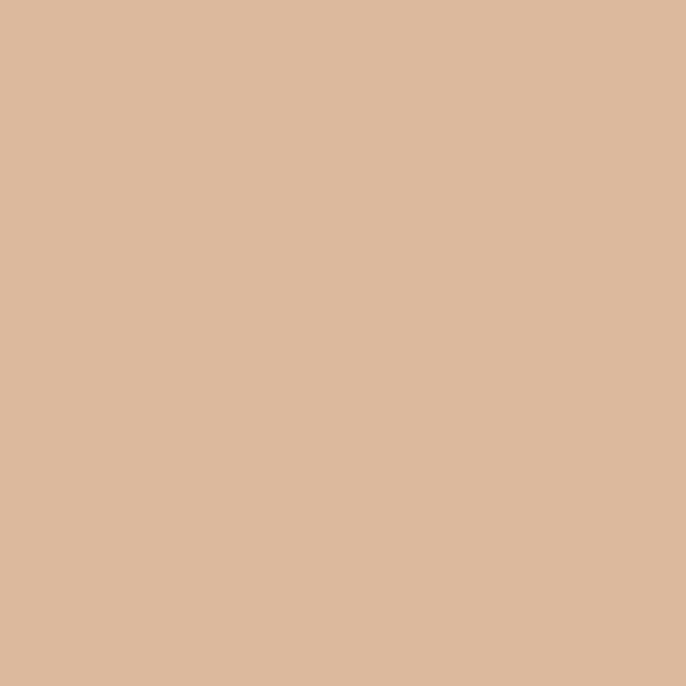 Evagarden Velvet Stay Foundation 808 Toast, colour swatch