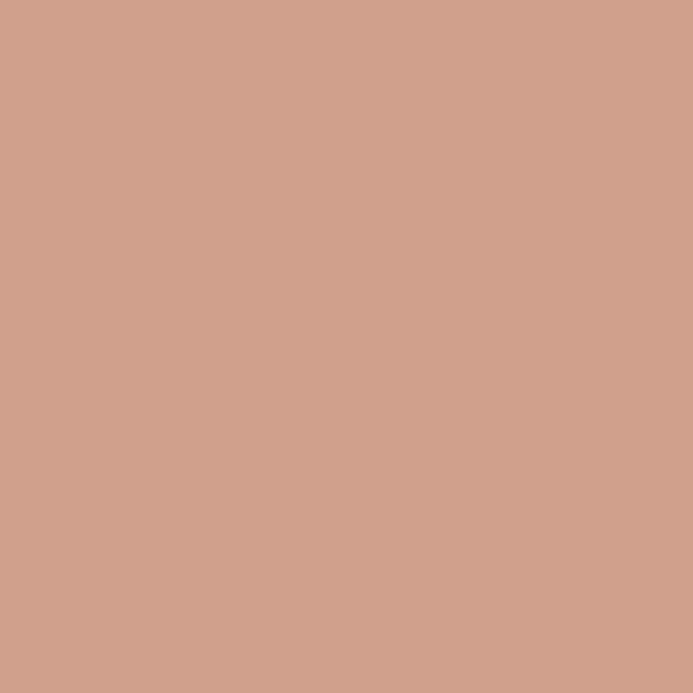 Evagarden Luxury Compact Powder 892 Raw Sienna Light, colour swatch