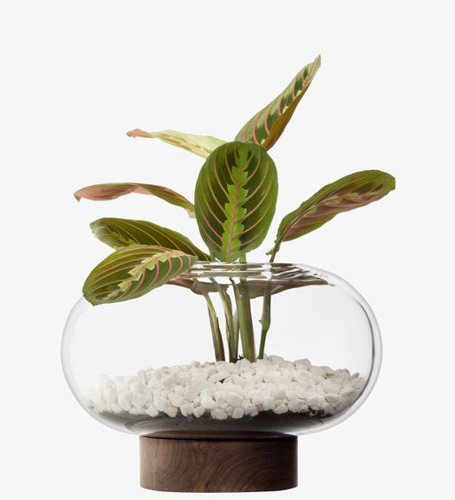 Oblate_VaseLantern_H21.5cmO19.5cm_ClearWalnut.jpg