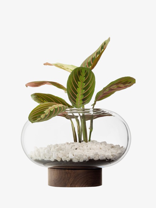 Oblate Vase H21.5cm/19.5cm Clear/Walnut