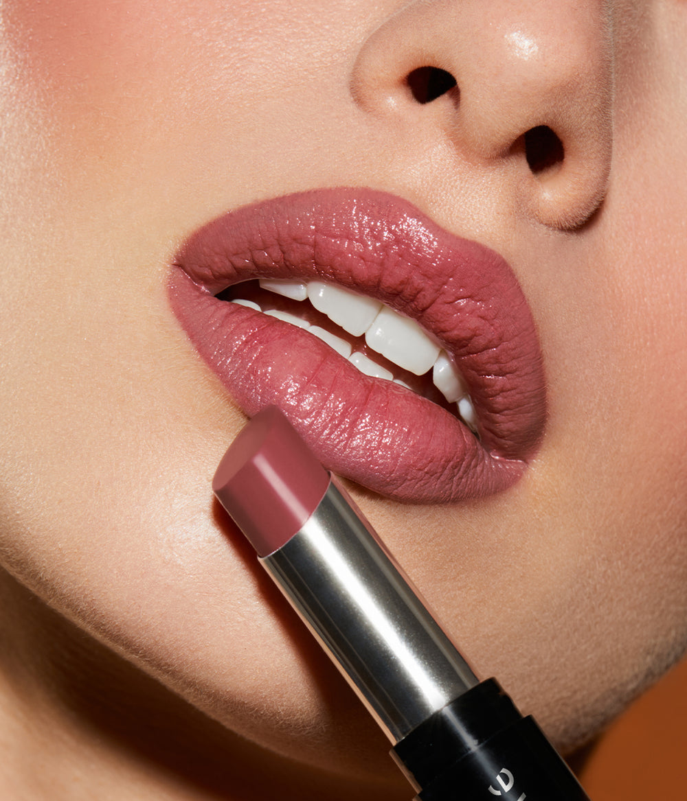 Evagarden Pleasure 3D Lipstick 505 Slate Rose, close-up