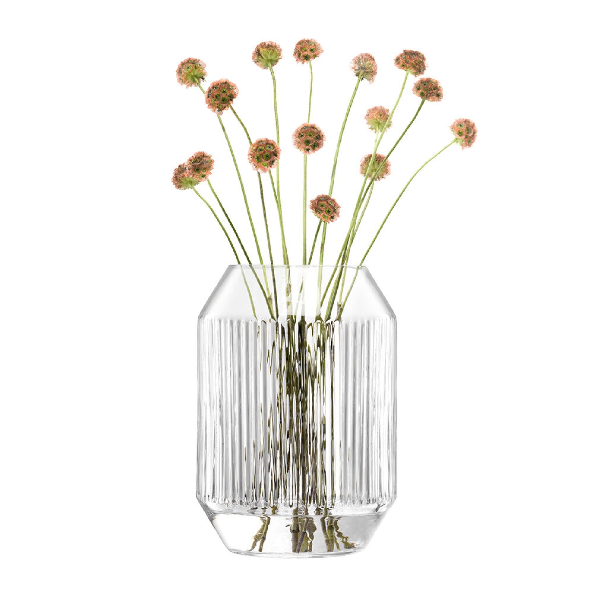 Rotunda_Vase_H20cm_Clear.jpg
