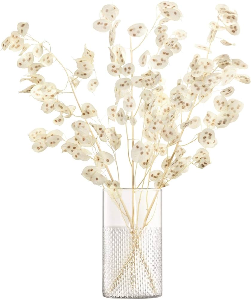 Wicker Vase/Lantern H25cm Clear